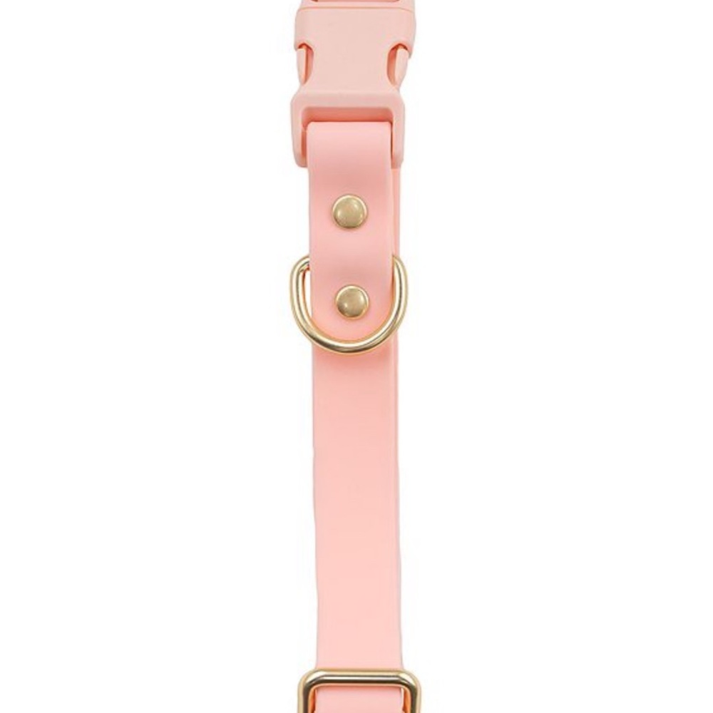 Pink Dog Collar with Rose Gold Hardware